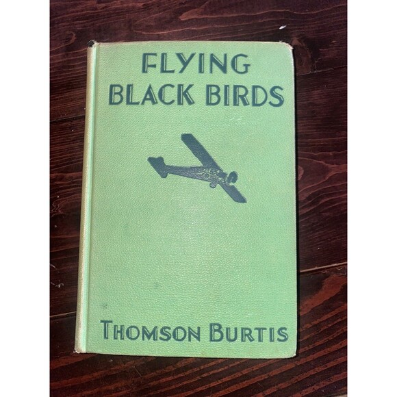 FLYING BLACK BIRDS THOMSON BURTIS AIR COMBAT PLANES 1932 HARDCOVER BOOK Vintage - Picture 1 of 9
